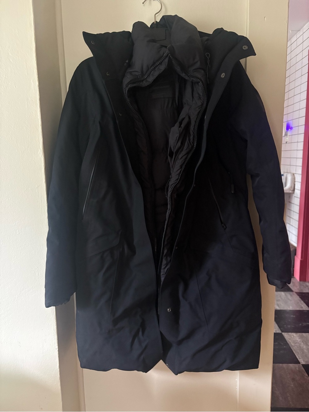 Women’s The North Face gore-tex coat 800 down fill